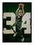 Giannis Antetokounmpo Basketbol Dekoratif Mdf Tablo 50CMX 70CM 1