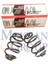 Bmw 3 Serı- E30- 84/91 Arka Helezon Yayı Sağ/sol Aynı (2li SET)320İ/323İ/325İ (13,50X138X249) (Stdr 33539058786 1