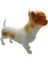 Soft Köpekler - Chihuahua / Şivava Cinsi Köpek - E013 2