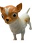 Soft Köpekler - Chihuahua / Şivava Cinsi Köpek - E013 3