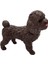 Soft Köpekler - Poodle Cinsi Köpek - E013 1