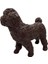 Soft Köpekler - Poodle Cinsi Köpek - E013 2