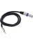3,5mm (1/8 Inç) Trs Erkek - Xlr Erkek Dengeli Bağlantı Bağlantı Kablosu 3ft (Yurt Dışından) 1