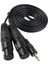 3,5mm Mini Stereo Trs - 2 Çift Xlr 3 Pin Dişi Y Ayırıcı Kablosu 1.5m (Yurt Dışından) 1