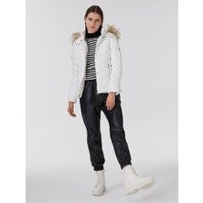 Loft Regular Fit Bayan Mont