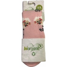 Bibaby  Çorap Külotlu Havlu Kuzulu Pembe