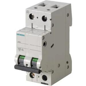 5SL6232-7 2X32A C-Otomat , 6 Ka