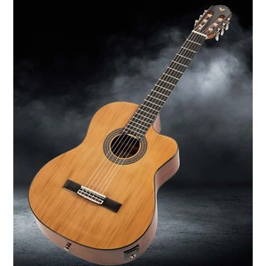 VG517CEQ Elektro Klasik Gitar