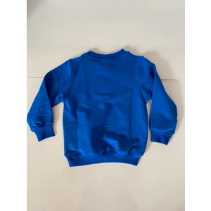 Harika Çocuk Dünyası Erkek Çocuk Sweatshirt