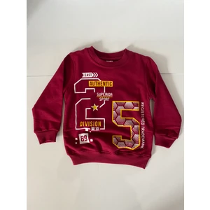 Harika Çocuk Dünyası Erkek Çocuk Sweatshirt