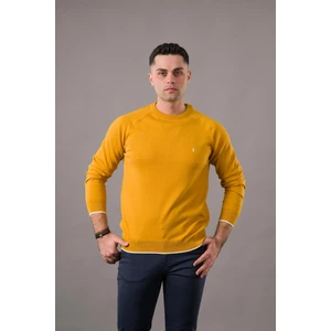 San&fa Regular Fit Bisiklet Yaka Pamuklu Erkek Triko Kazak