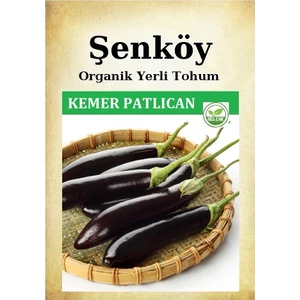 Yerli Antep Kemer Patlıcan Tohumu Doğal Ata Kemer Patlıcan Tohumu Pakette 5 gr 1000 Adet