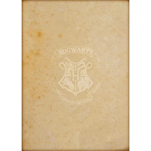 Harry Potter Temalı Mektup Kağıdı (A5 - 15X21 Cm- 10 Adet)