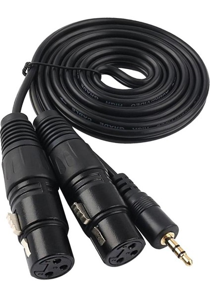 3,5mm Mini Stereo Trs - 2 Çift Xlr 3 Pin Dişi Y Ayırıcı Kablosu 1.5m (Yurt Dışından)