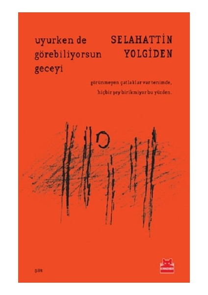 Uyurken De Görebiliyorsun Geceyi - Selahattin Yolgiden