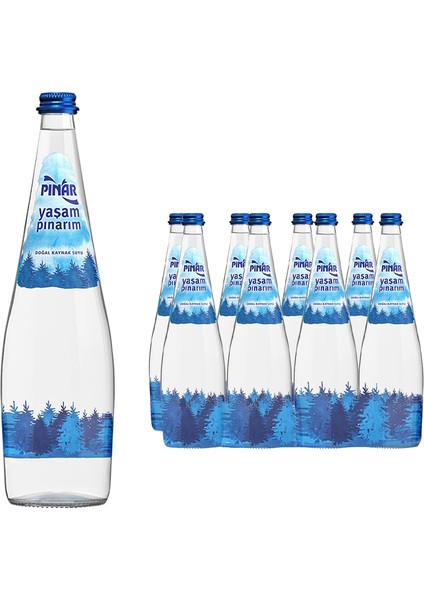 Cam Şişe Su 12 x 750 ml