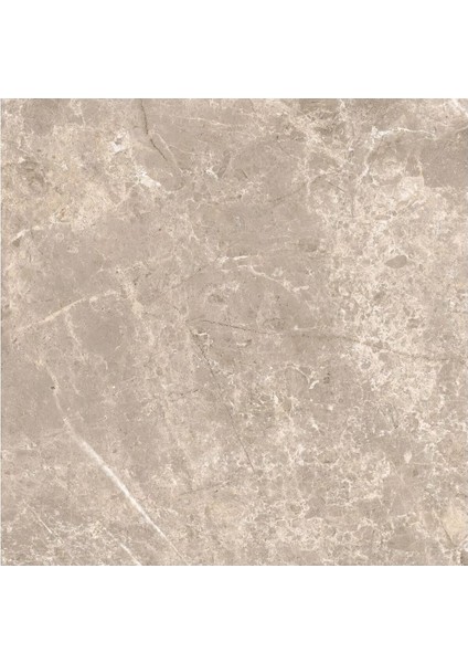60X60 Boscostone Vizon R10B K950383R0001VTE0
