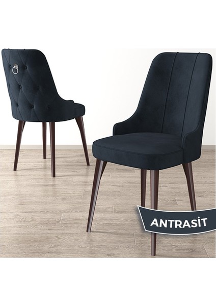 Concept Newa Serisi Babyface Kumaş Kahve Metal Ayak Gümüş Halkalı 1 Adet Sandalye