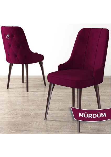 Concept Newa Serisi Babyface Kumaş Kahve Metal Ayak Gümüş Halkalı 1 Adet Sandalye