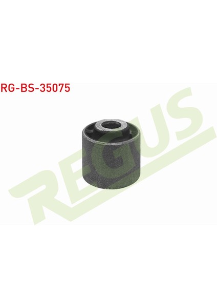 Renault Master Iıı 2010- Viraj Demir Burcu Arka 551100020R