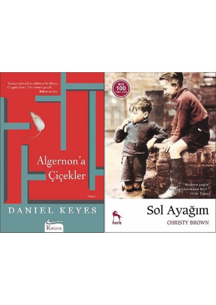 Algernon'a Çiçekler - Sol Ayağım