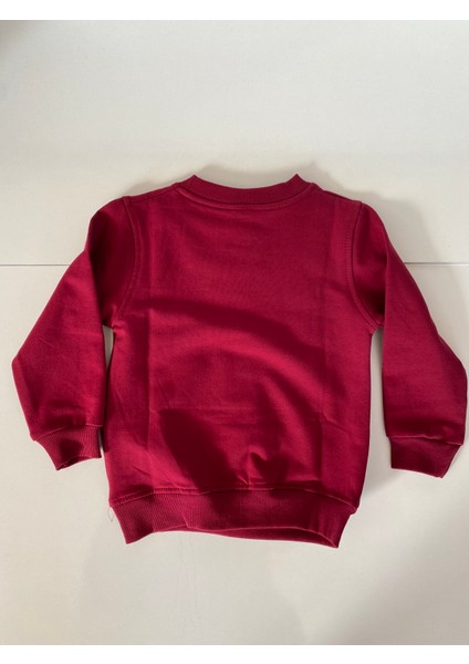 Erkek Çocuk Sweatshirt