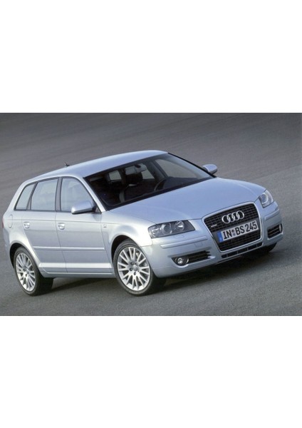 Coil-Ex Audı A3 8p 05.2003- Sonrası Spor Yay 45 / 45 mm fiyatları