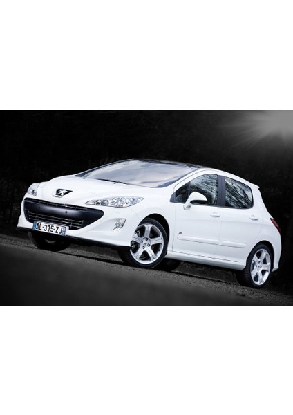 Coil-Ex Peugeot 308 09.2007 Sonrası Spor Yay 30 / 30 mm fiyatları