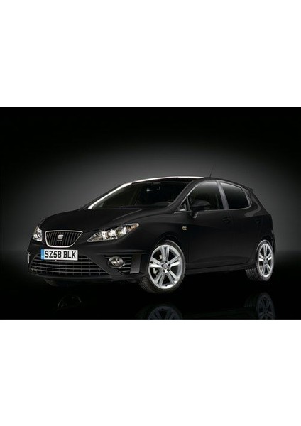 Coil-Ex Seat Ibiza 6j 2008 Sonrası Spor Yay 45 / 45 mm fiyatları