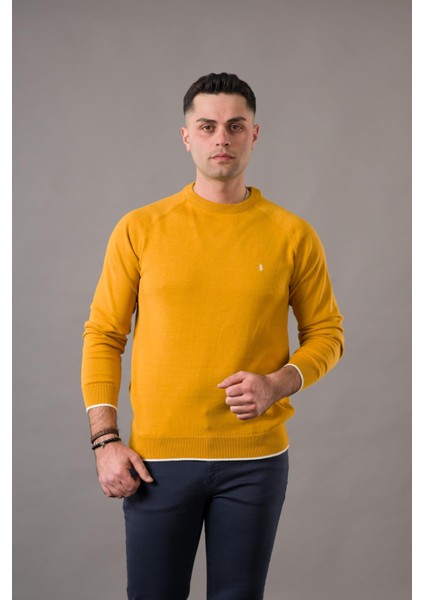 Regular Fit Bisiklet Yaka Pamuklu Erkek Triko Kazak fiyatları