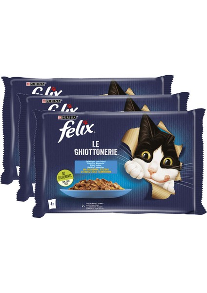 Somonlu ve Ton Balıklı Yetişkin Kedi Maması -85 gr x 12 Adet
