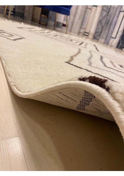 Eviza Antiaerjik Halı 160 x 230 fırsatları