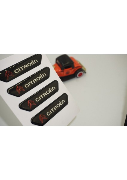 Citroen Logo C5 C6 Kapı Kenarı Koruma Metalize Damla Desen 3m Band