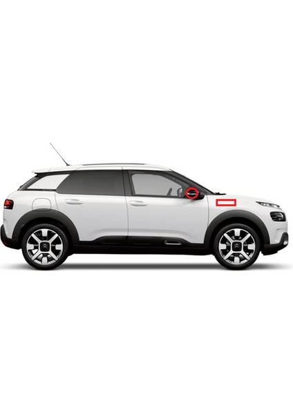 Citroen Logo C2 C3 Çamurluk Yanı ve Ayna Metalize Damla Desen 3m Logo Arma