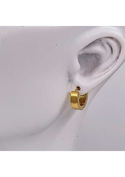 Çelik Gold Crtr Küpe fiyatları