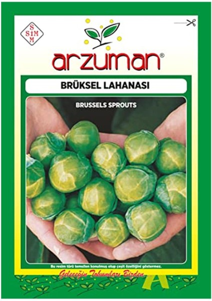 Brüksel Lahana Tohumu, 200 Adet