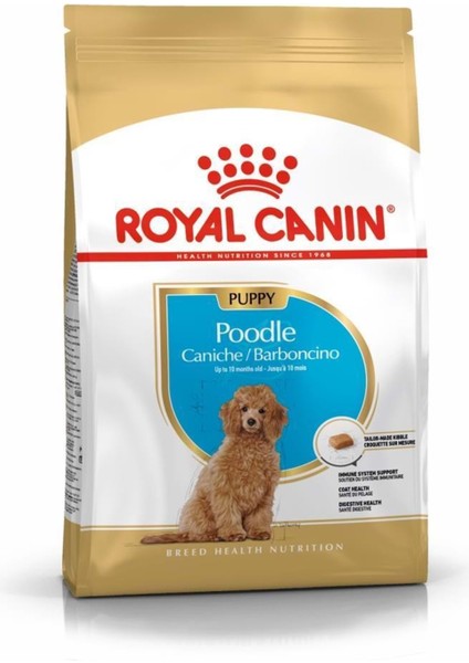 Puppy Poodle Caniche Yavru Köpek Maması 3kg