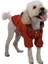Pluvia İçi Polar Küçük Irk Köpek Yağmurluğu Turuncu 1