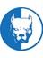 Pitbull Oto Araba Sticker 2