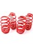 Coil-Ex Ford Focus 3 2011- Sonrası Spor Yay 45 / 45 mm 3