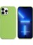 Apple iPhone 13 Pro 6.1'' Liquit Lansman Silikon Yeşil 1