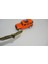 Jeep Cherokee Trail Hawk Krom Metal Bagaj Yazı Logo 1