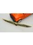 Jeep Cherokee Trail Hawk Krom Metal Bagaj Yazı Logo 4