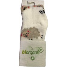 Bibaby  Çorap Külotlu Havlu Kuzulu Ekru