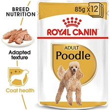 Royal Canin Poodle Yetişkin Pouch Yaş Köpek Maması 85 gr 12'li