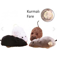 Pratik Mağazam Kurmalı Kedi Eğitim Oyuncağı Tüylü Fare