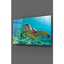 Taulart Caretta Caretta Cam Tablo