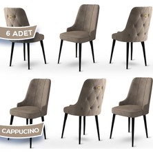 Canisa Concept Enoa Serisi Babyface Kumaş Siyah Gürgen Ayaklı 6 Adet Sandalye Gold Halkalı