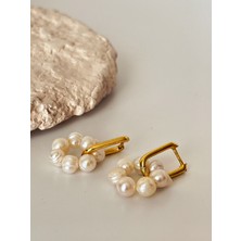 Ladies&Gentlemen 14K Altın Kaplama Gerçek Inci Küpe (Tasarım)