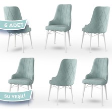 Canisa Concept Neta Serisi   Babyface Kumaş  Beyaz Gürgen Ayak 6 Adet Yemek Odası Sandalye